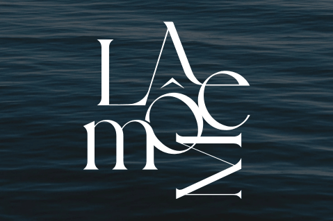 lamoemplasticsurgery.com website thumbnail